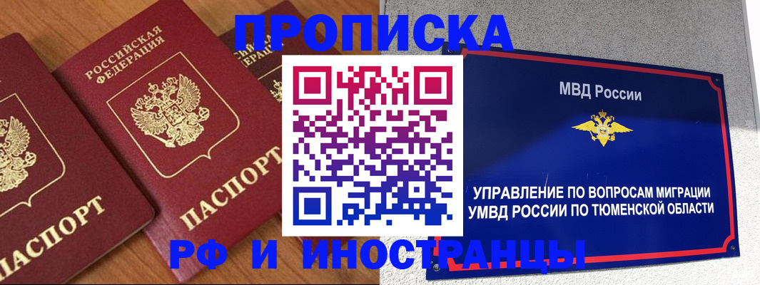 прописка поиск в Дмитрове